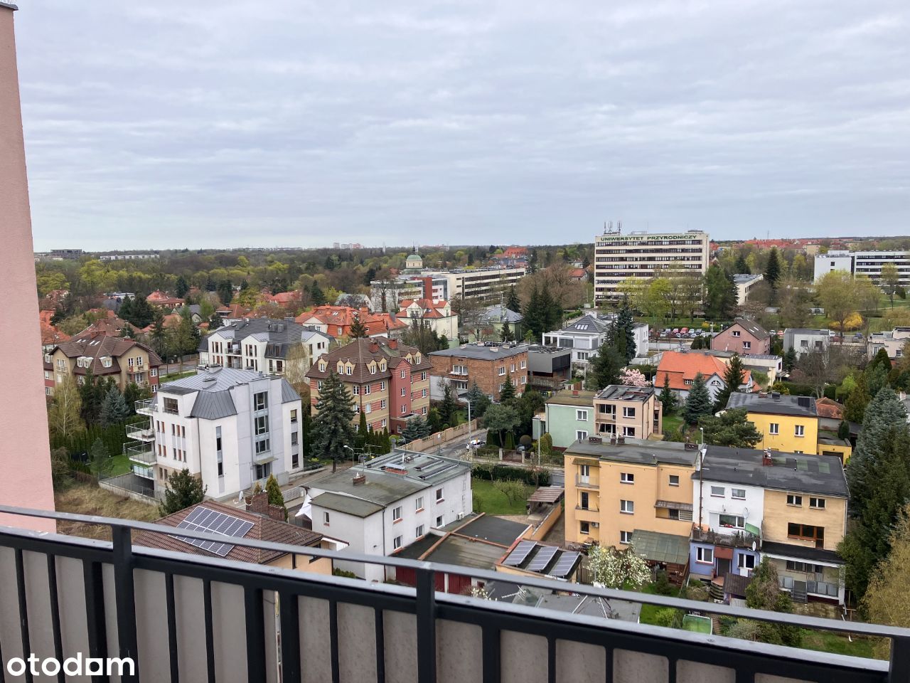 Jedyny taki widok w poznaniu