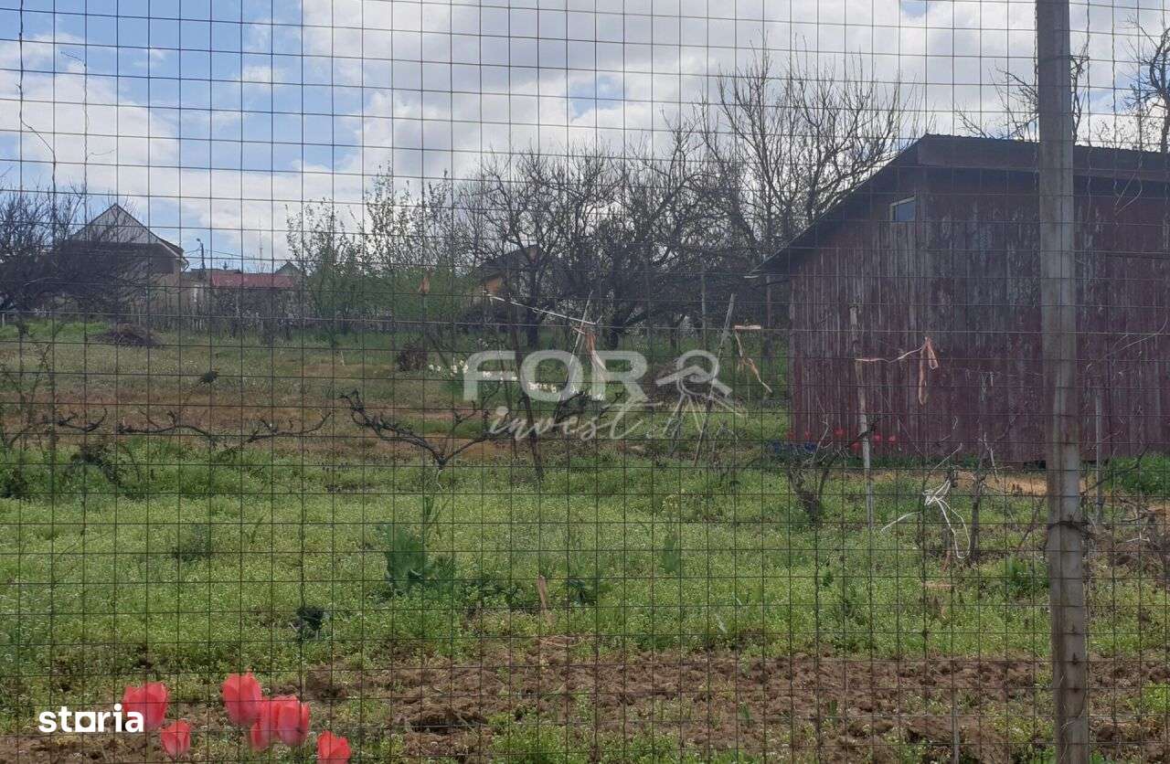 Teren intravilan de vanzare 2537mp, strada Arinului - Imagine principală: 2/5