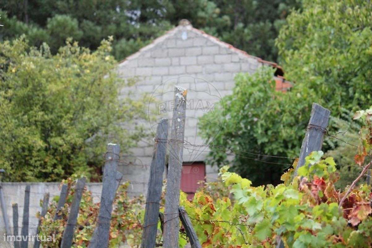 Terreno  para venda - Grande imagem: 4/28