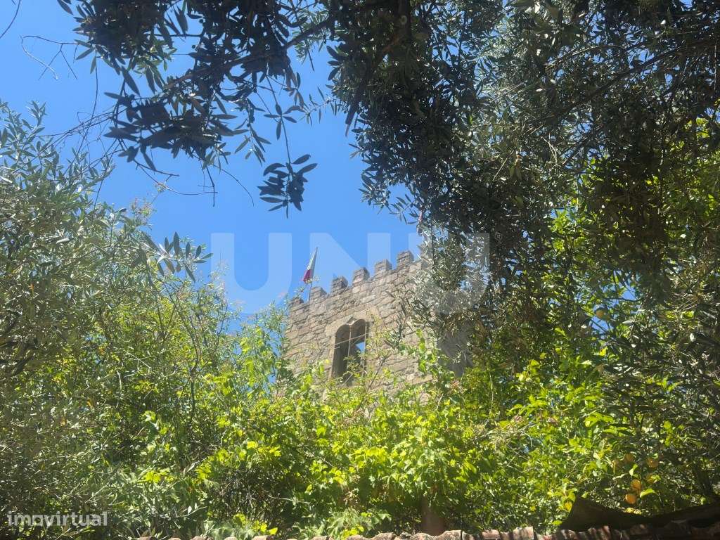 Apartamento T4 com Terraço e Logradouro - Zona Histórica-33