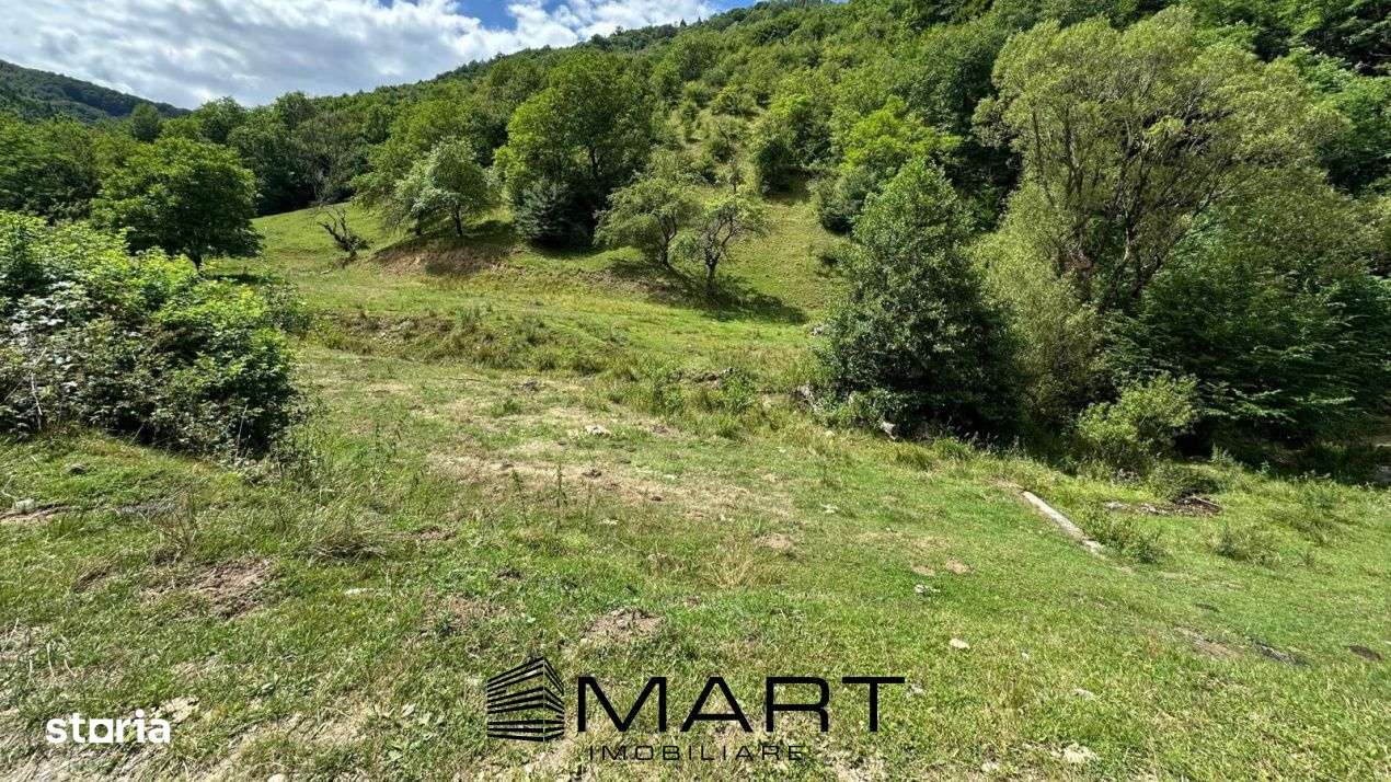 Teren intravilan 8500mp Rasinari - Imagine principală: 4/5