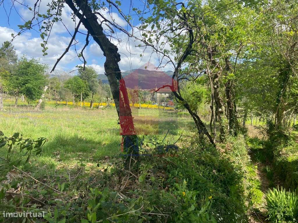 Terreno agrícola, Oriz Santa Marinha - Grande imagem: 5/7