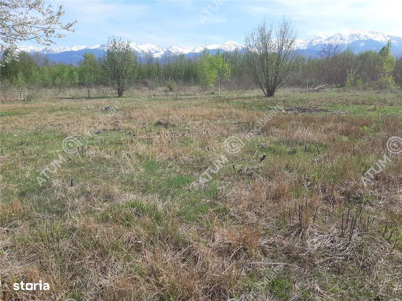 Teren intravilan 2700 mp pe Valea Avrigului localitate Avrig - Imagine principală: 5/7