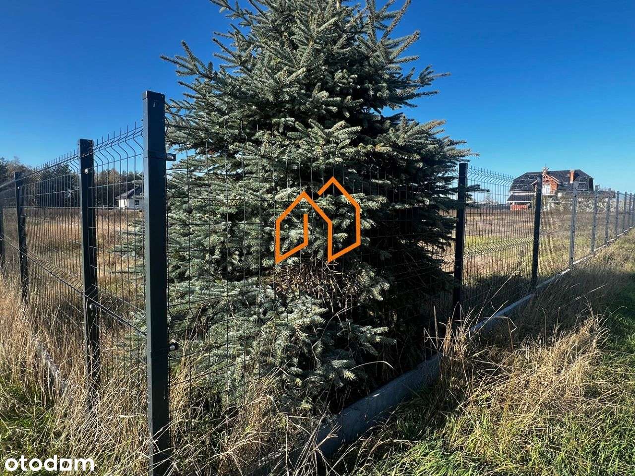 Działka budowlana, Murzynowo Leśne. - Pełny obrazek: 4/5