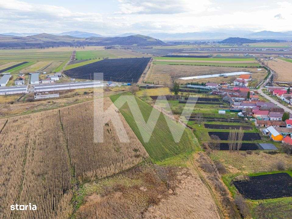 Teren 10000 mp in Extravilan, Bod, Brasov- COMISION 0%-11