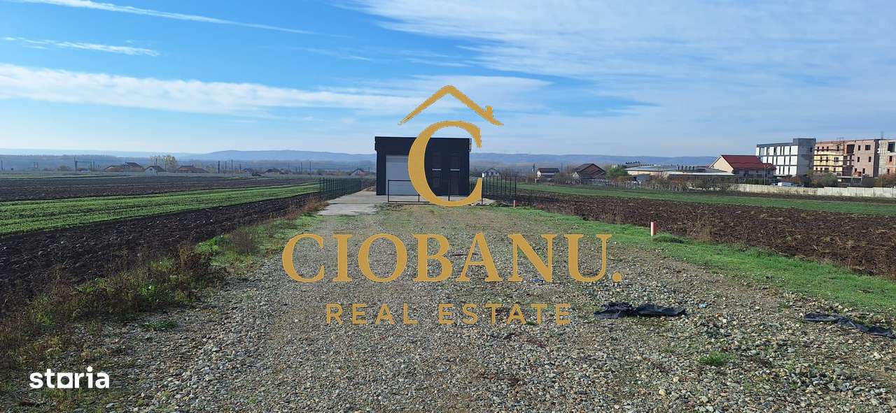 Hala de vanzare in Racari de Jos-17