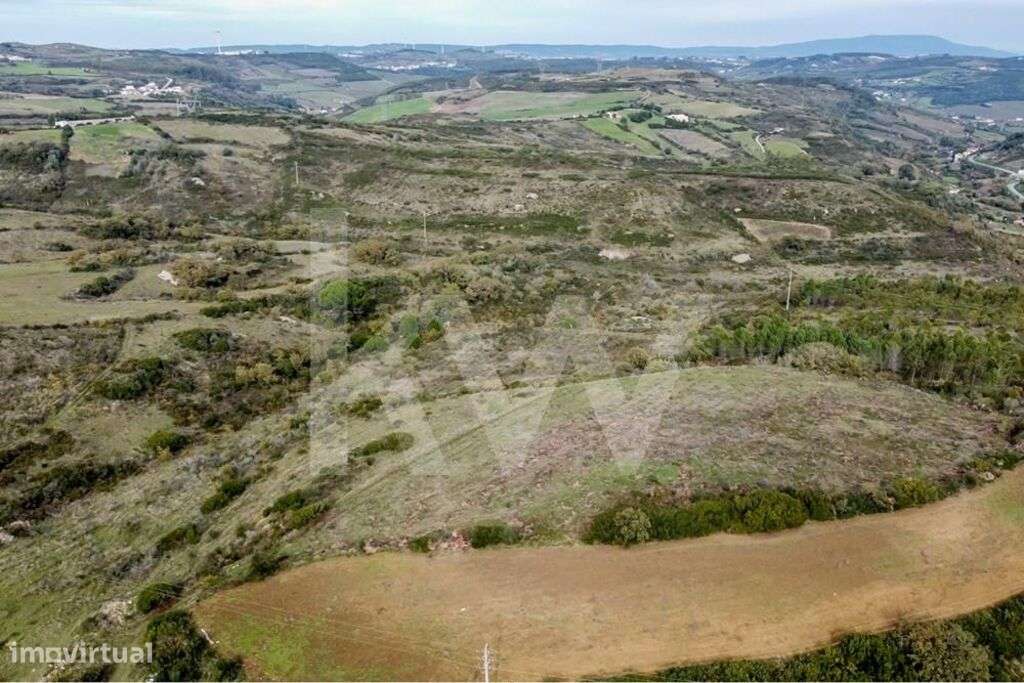 Terreno Arranhó, Arruda dos Vinhos - Grande imagem: 5/7