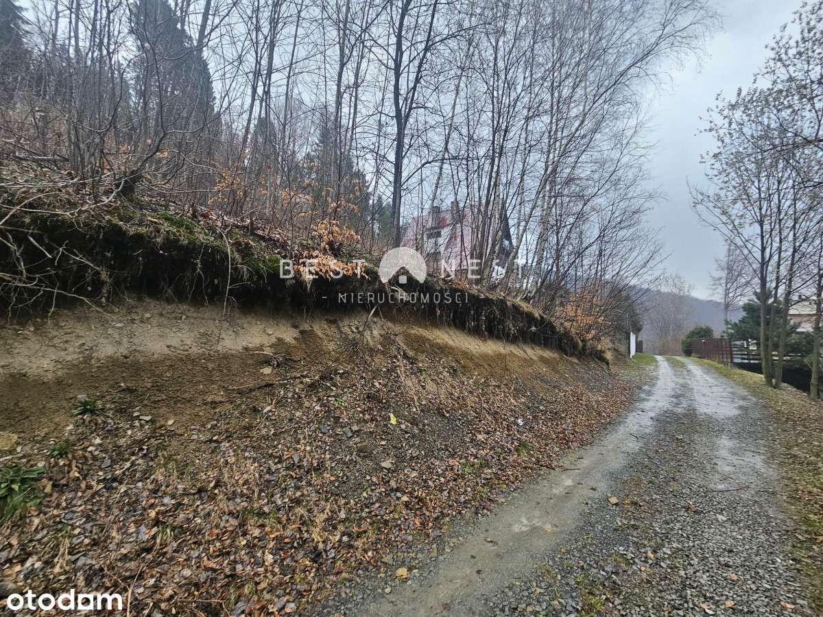 Widokowa działka - południowy stok Szczyrk - Pełny obrazek: 3/4