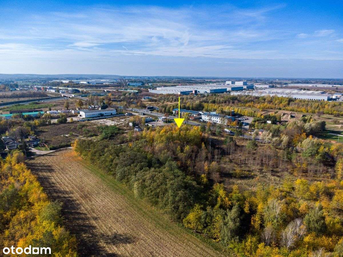 ✨Ruch, widoczność, potencjał ✨ - Pełny obrazek: 4/11