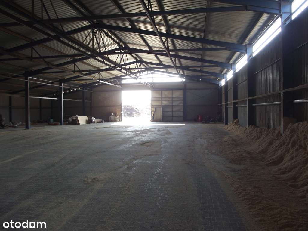 Teren inwestycyjny z halą 1250m2! MPZP -PU - Pełny obrazek: 4/4