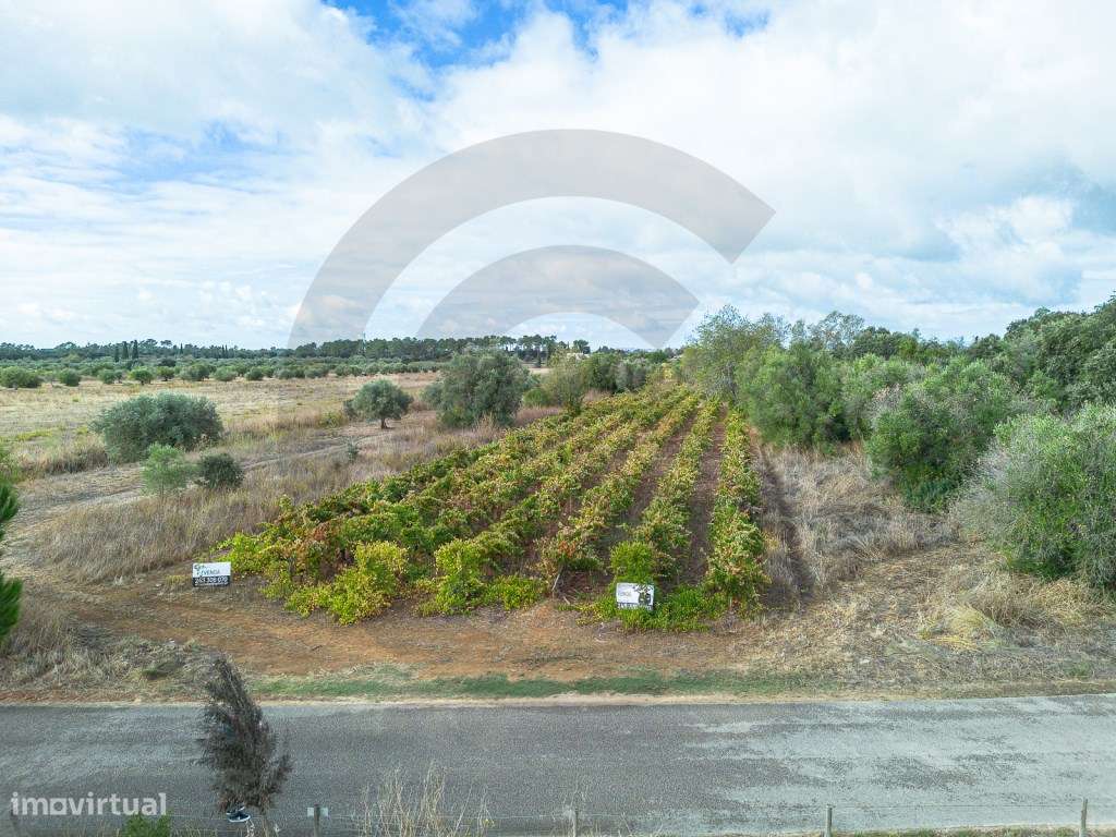 Terreno rústico - Grande imagem: 4/7