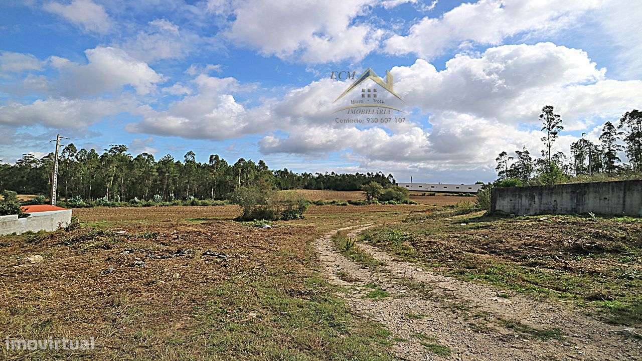 Terreno 20.000m/2 Macieira da Maia-19