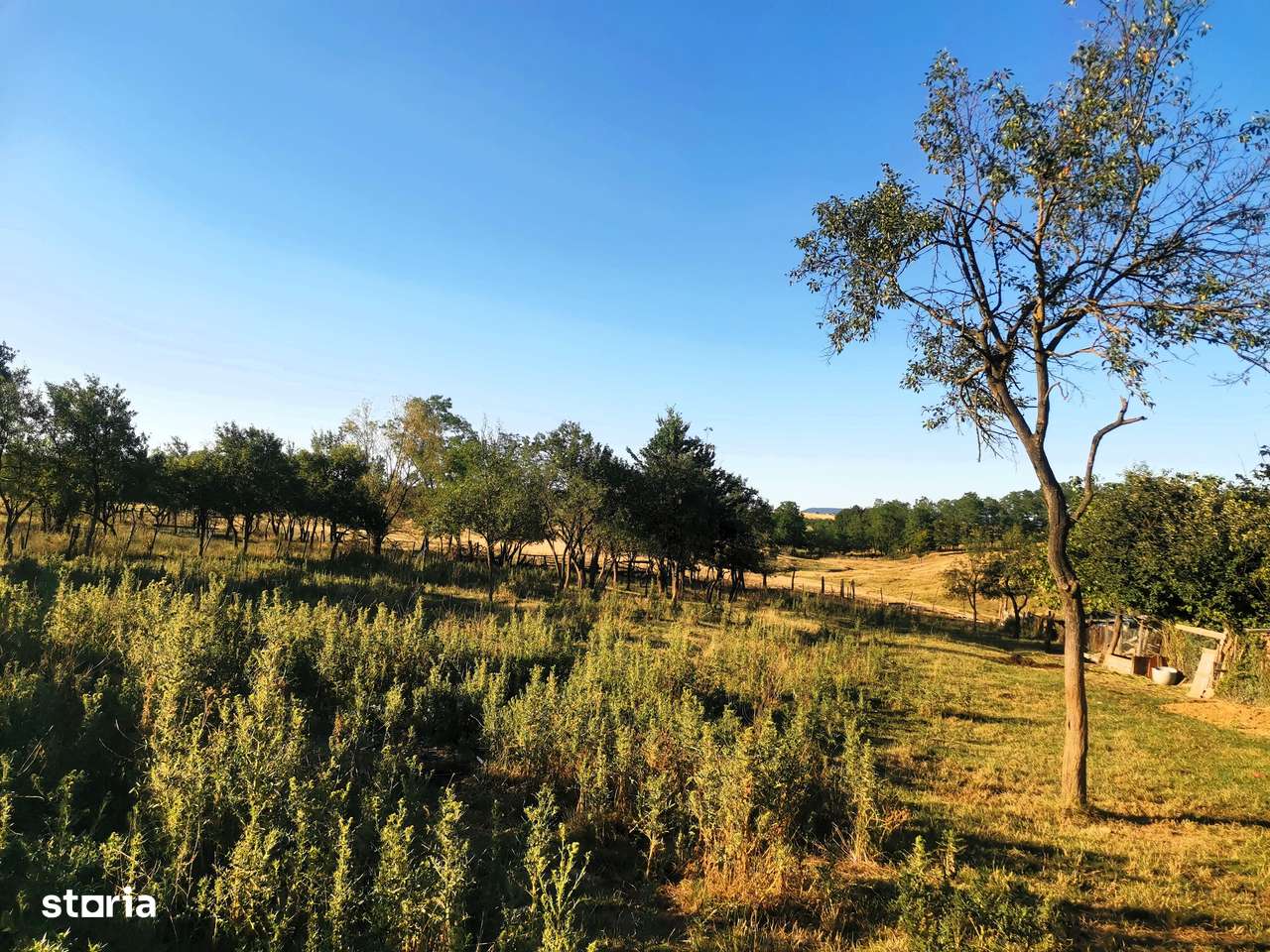 Casă de vânzare, 3 camere, teren 1356mp, zonă frumoasă - Imagine principală: 4/18