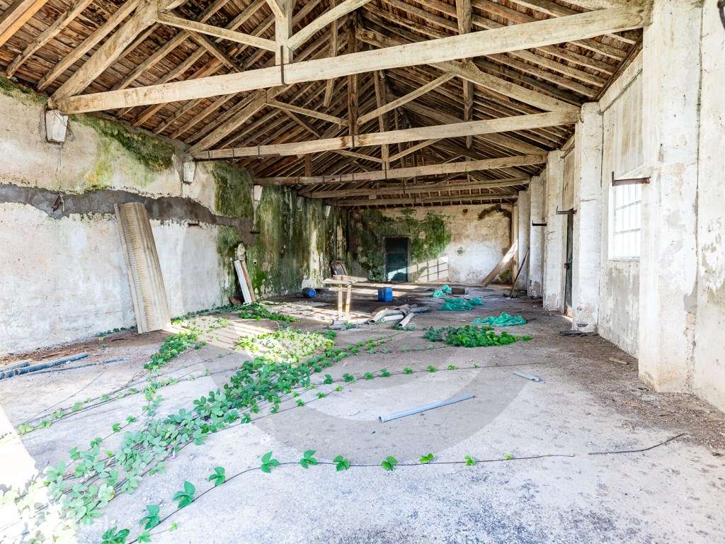 Conjunto de Armazéns Comerciais em Alcanena e 3 pequenas moradias - Grande imagem: 5/9