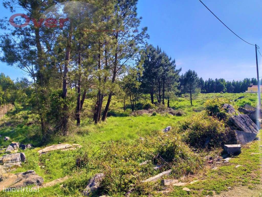 Terreno Venda Lourinhã - Grande imagem: 2/6