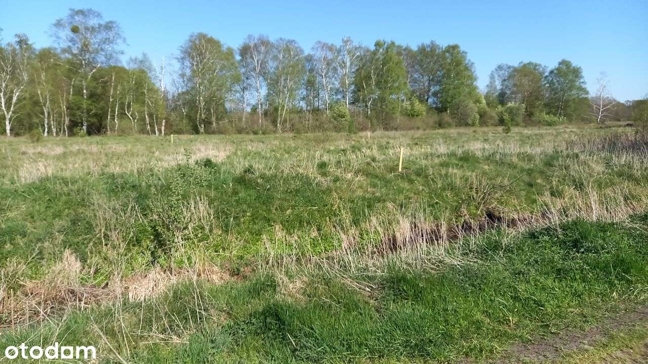 Działki nad morzem Sasino - 11 sztuk - Pełny obrazek: 5/20