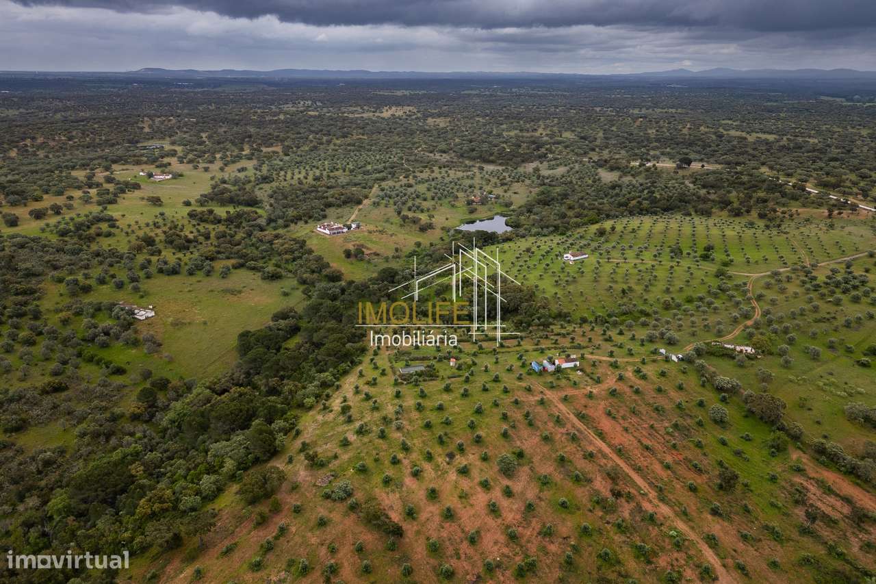 MONTINHO DO CHIADO - MALARRANHA - PAVIA-43