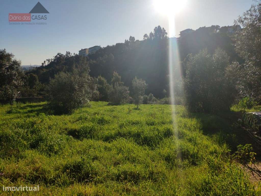 Terreno com viabilidade de construção Rocha Nova - Grande imagem: 2/4