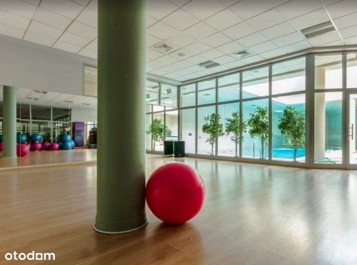 do wynajęcia lokal po siłowni, sauna, basen-1