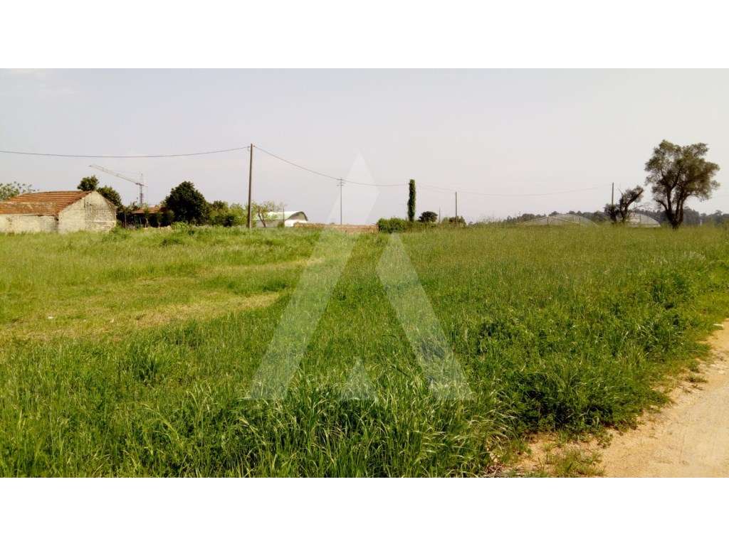 Lote de terreno para construção na Palhaça - Grande imagem: 4/7