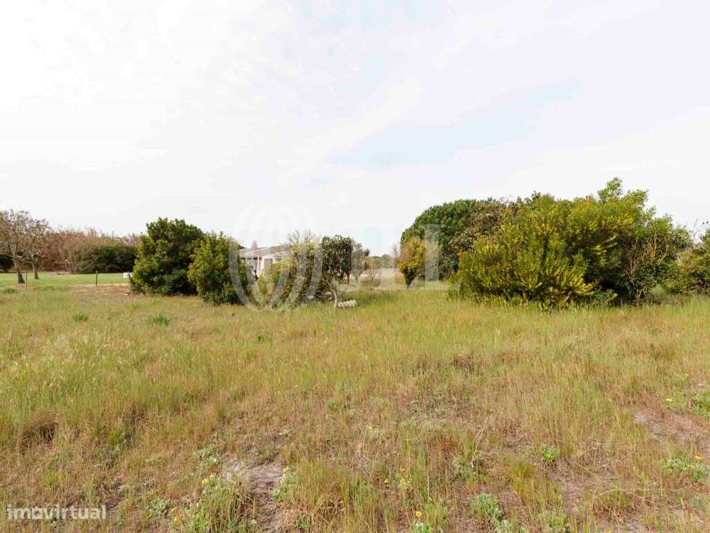 Terreno para construção nos Brejos, região da Comporta - Grande imagem: 5/19