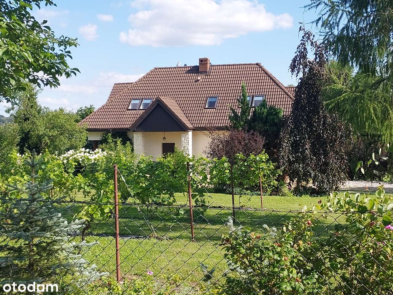 Dom z widokiem na Kazimierz Dolny, 65 ar, winnica, piwniczka PV 9,36KW