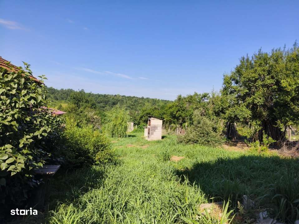 Casa P+M la gri de vanzare – Rasova, comuna Balesti-8