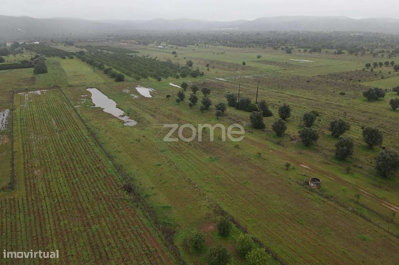Terreno Rústico c/ 2.440m2 em Lenciscais, Paderne, Albufeira - Grande imagem: 4/16