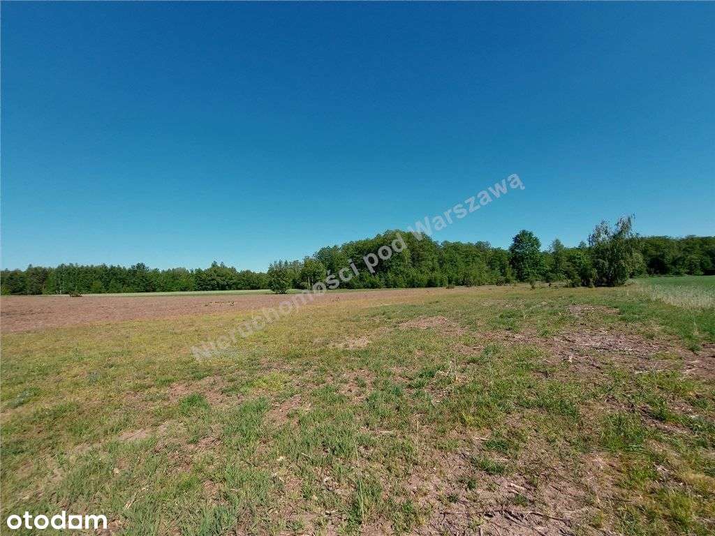 Dogodne Wymiary, Media, Magiczny Widok. - Pełny obrazek: 5/9