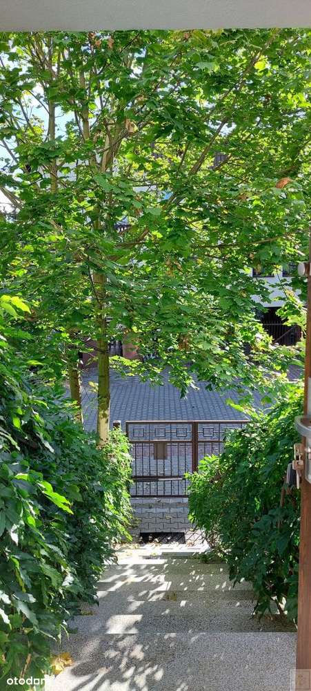 Klon, glicynia przed domem, granit i Smart Home