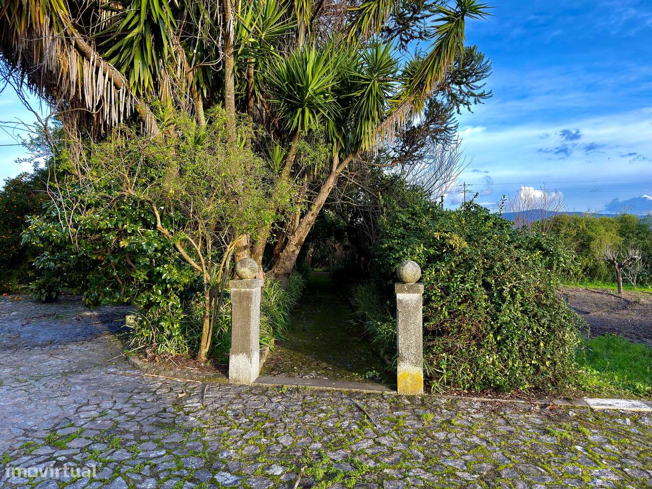 Quinta T5+1 Venda em Cardielos e Serreleis,Viana do Castelo-43