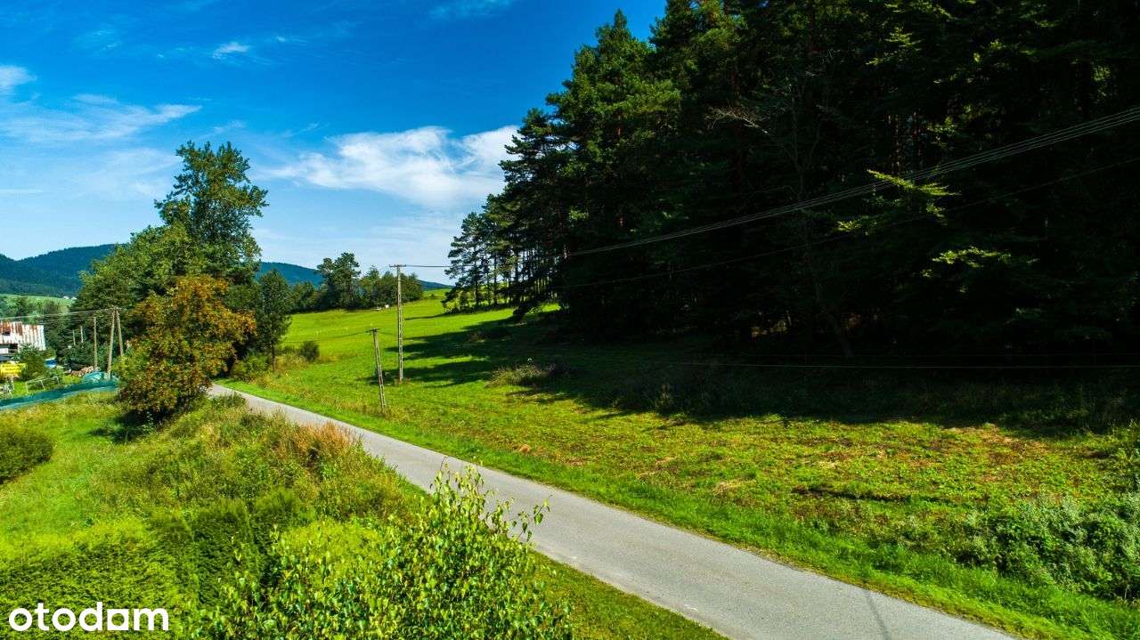Działka budowlana blisko centrum - Łabowa - Pełny obrazek: 5/5