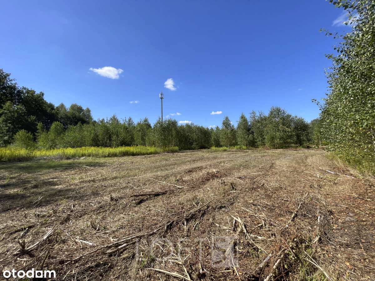 Działka dla dewelopera Nowy Prażmów-7