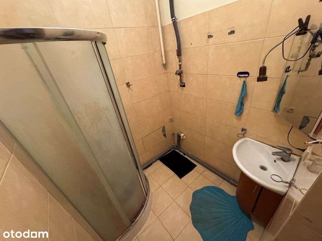 Przestronne, wysokie sufity, piwnica, strych - Pełny obrazek: 5/6