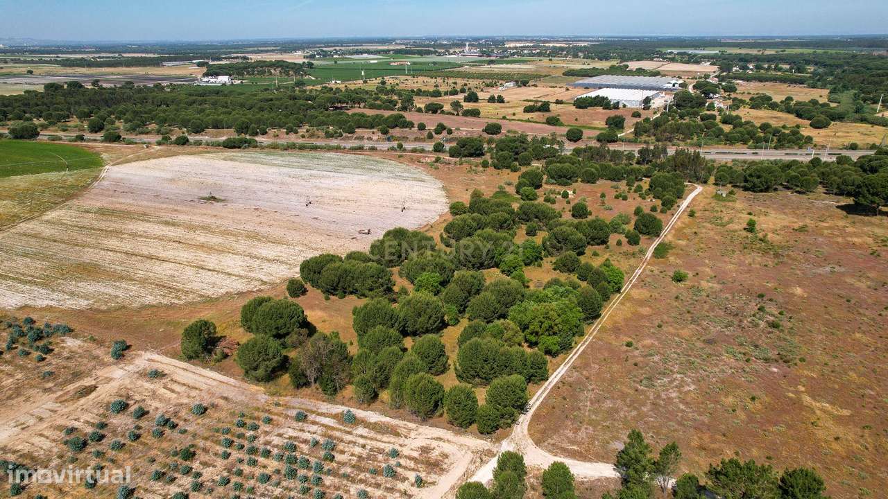 Terreno Rústico c/ 22.500m2 - Sto Isidro de Pegões - Montijo - Grande imagem: 4/12