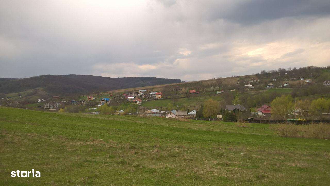 Vanzare teren Luncani, Bacau-6