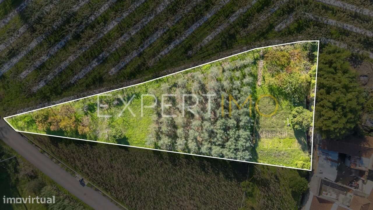 Terreno junto a Ribeiro em Quinta do Colaço (Almalaguês/Coimbra) - Grande imagem: 4/12