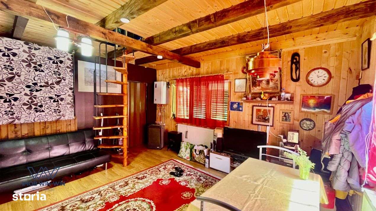 Casa Vacanta Babana!-11