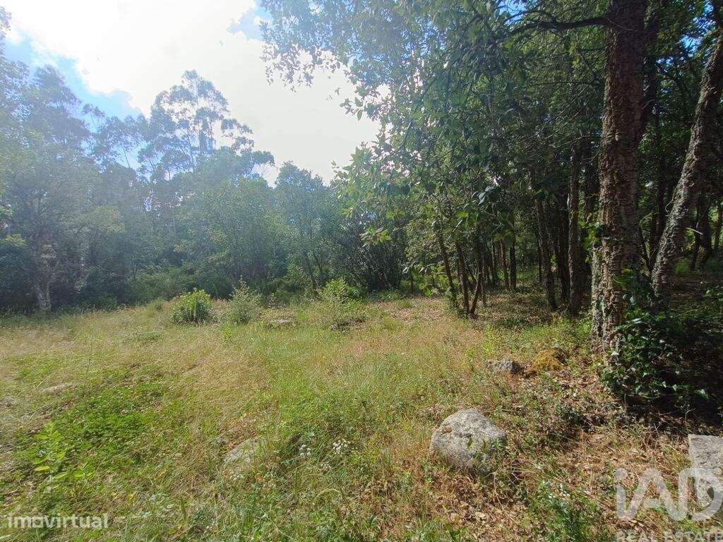 Terreno em Aljubarrota de 2112,00 m2 - Grande imagem: 4/27