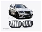 Grelhas Capo BMW X5 + X6 - 1