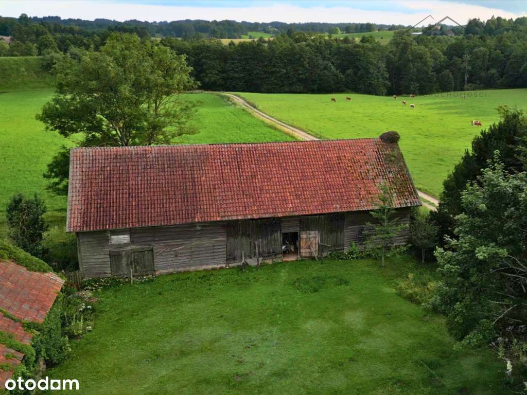 Siedlisko na Mazurach – 3 budynki, działka 6350 m²-5