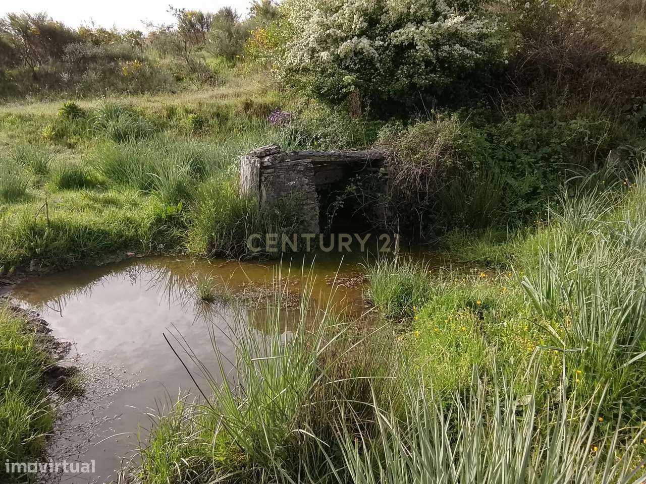 Terreno rústico 16.6ha Montalvão, Nisa-6