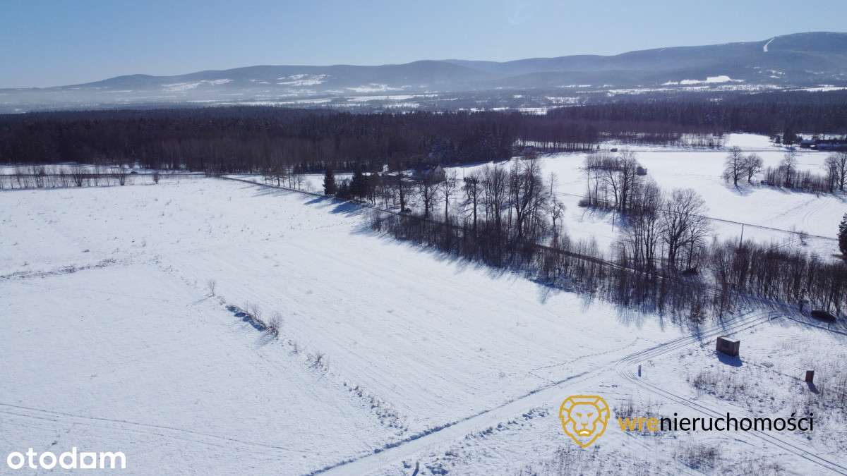 Klimatyczna działka budowlana+Usługi-6