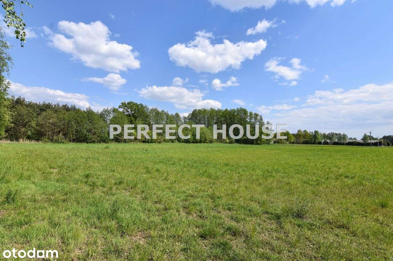 Działka przy lesie blisko Sierakowa dobra cena - Pełny obrazek: 5/5