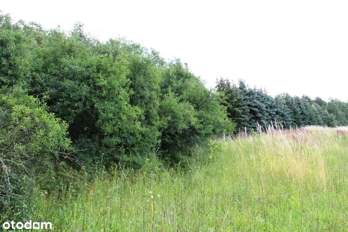 Malownicza działka rolna w pobliżu jeziora-1