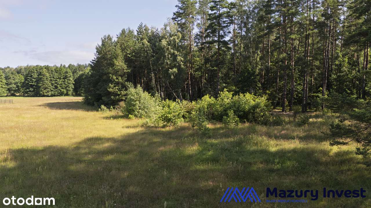 Działki budowlane w Piasutnie - przy ścianie lasu i 230 m do jeziora-8