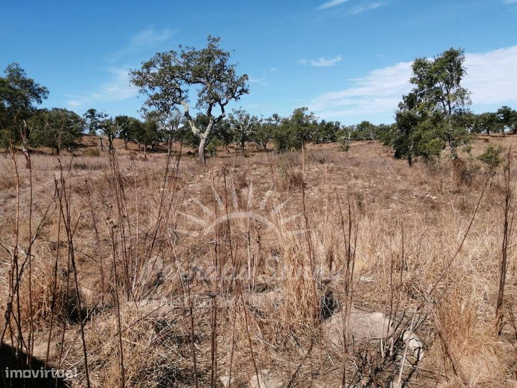 Terreno Misto - Grande imagem: 4/18