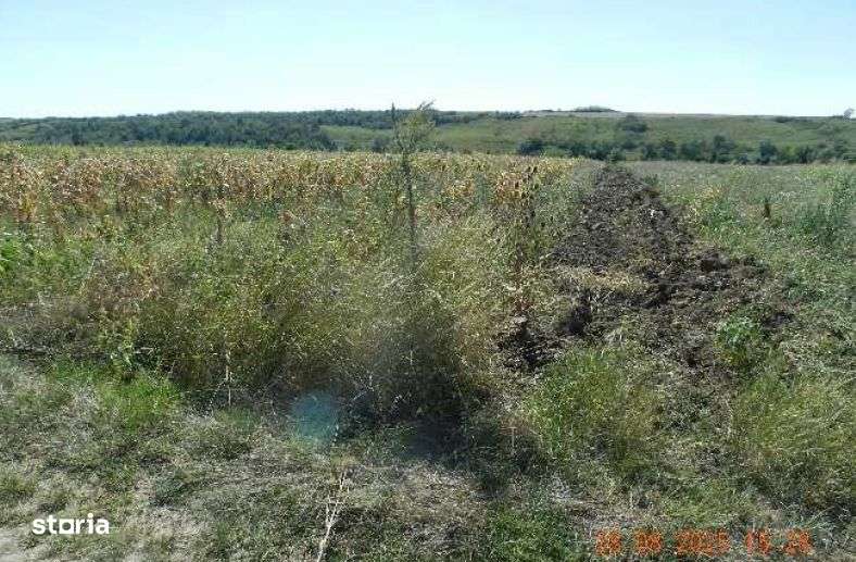 Teren extravilan arabil, situat in Oravita, Jud Caras-Severin - Imagine principală: 4/6