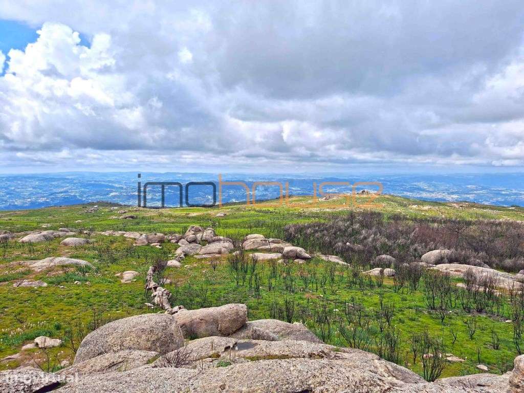 Terreno de 84 hectares-38