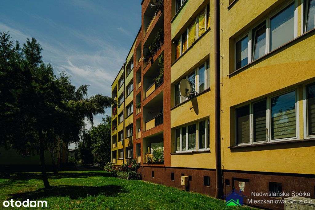 Mieszkanie do wynajęcia - Pełny obrazek: 4/18